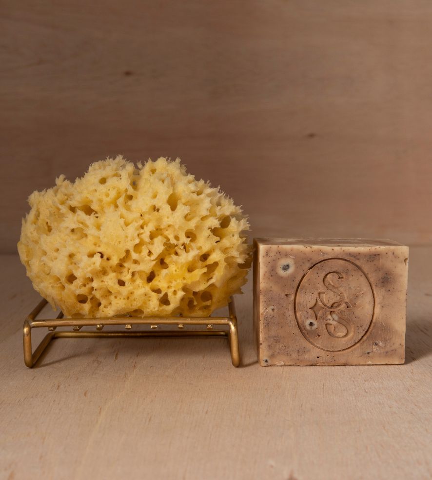 Ante Meridian | Olive Cold Processed Bar | Citrus + Coffee