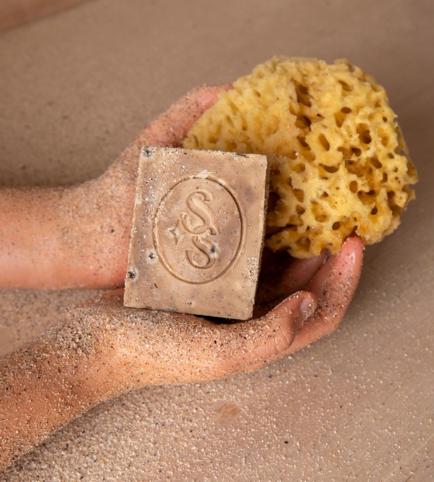 Ante Meridian | Olive Cold Processed Bar | Citrus + Coffee