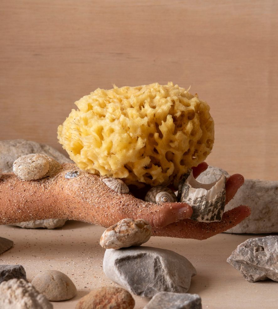 The Meridian Soap Set