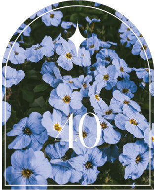 Celebration Candle | 40th Birthday