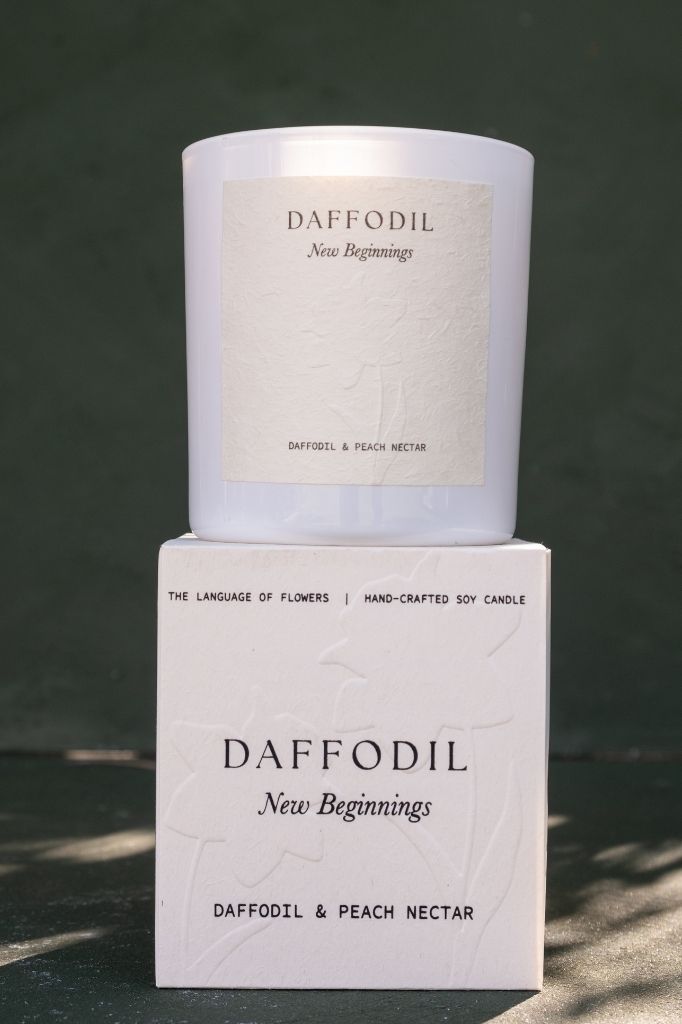Daffodil | Daffodil & Peach Nectar