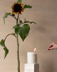 Sunflower Candle | Australian Myrtle + Amber