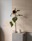 Sunflower Candle | Australian Myrtle + Amber