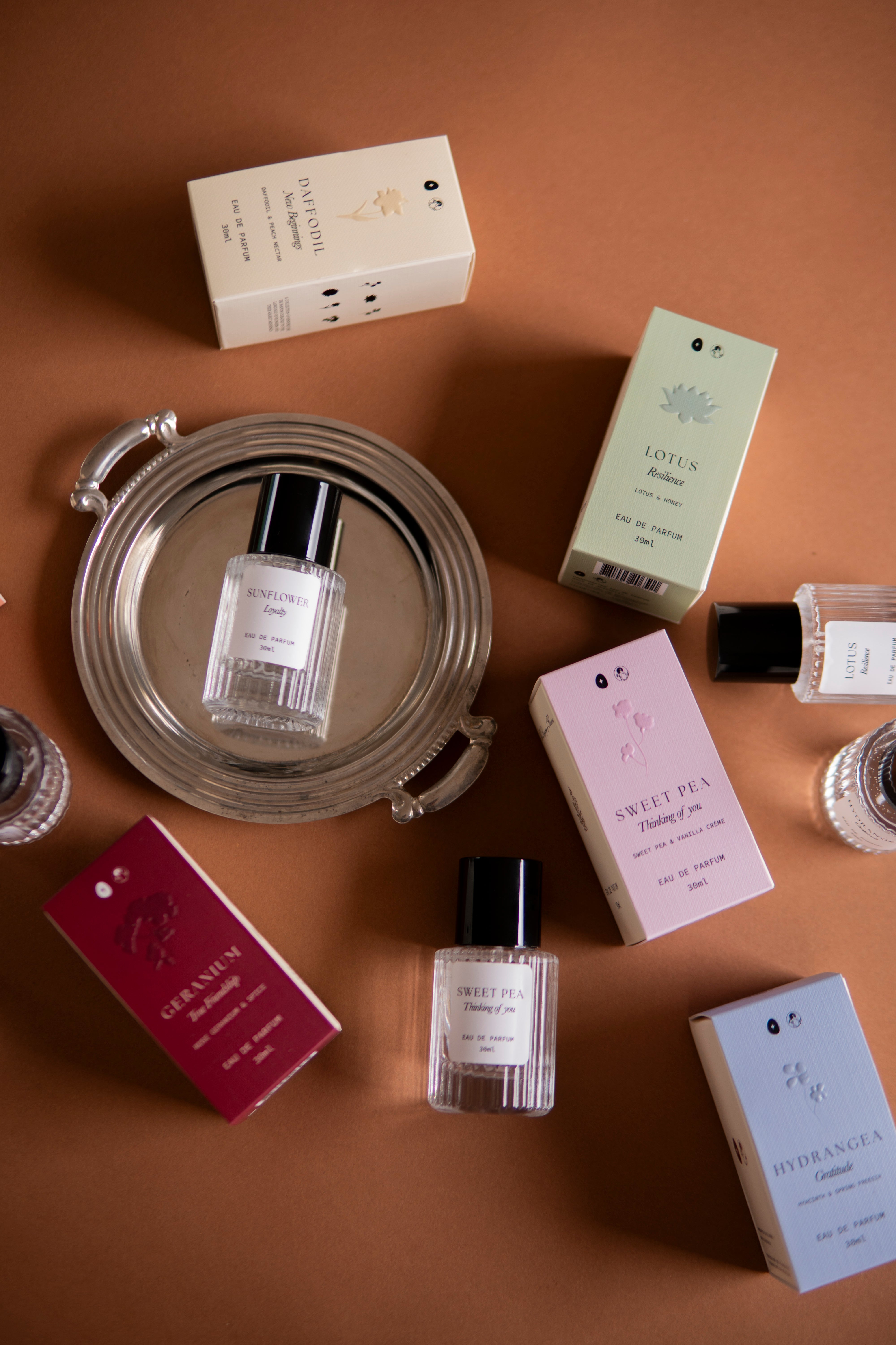 The Perfume Collection