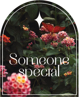 Celebration Candle | Someone Special