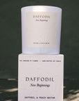 Daffodil | 400gm Candle | Daffodil & Peach Nectar