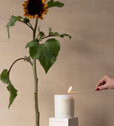Studio Sol Nightbloom Diffuser Primrose & Oud main image 0
